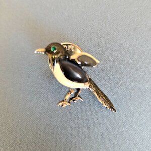 Magpie pin. Bird collection.